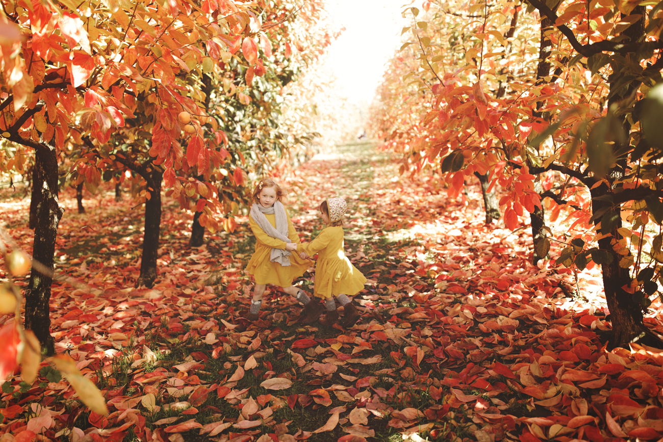 Raeburn Orchard Mini Sessions