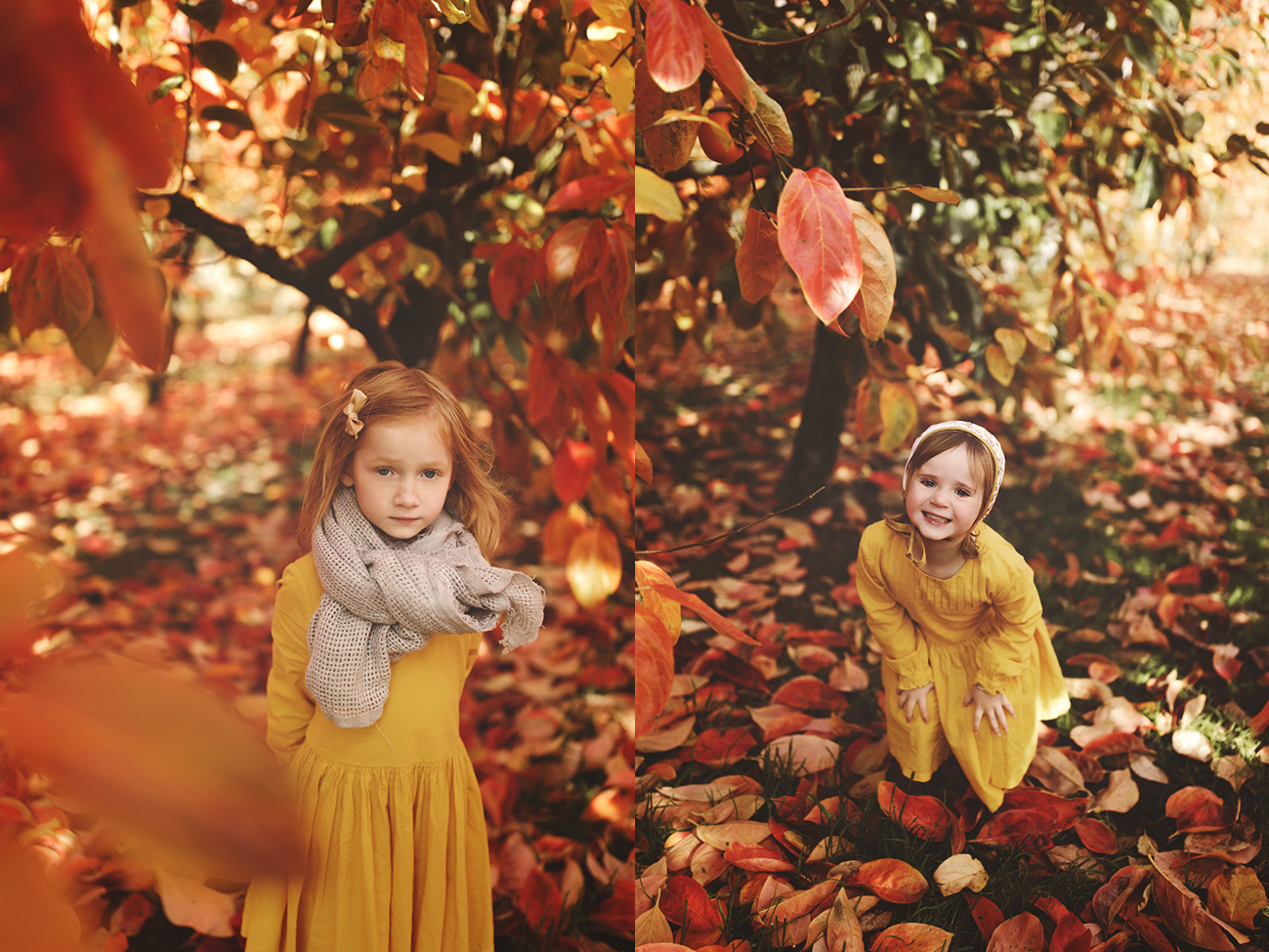 Raeburn Orchard Mini Sessions