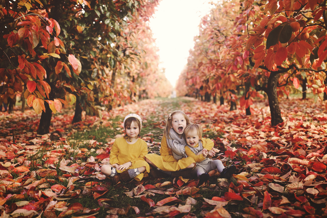 Raeburn Orchard Mini Sessions