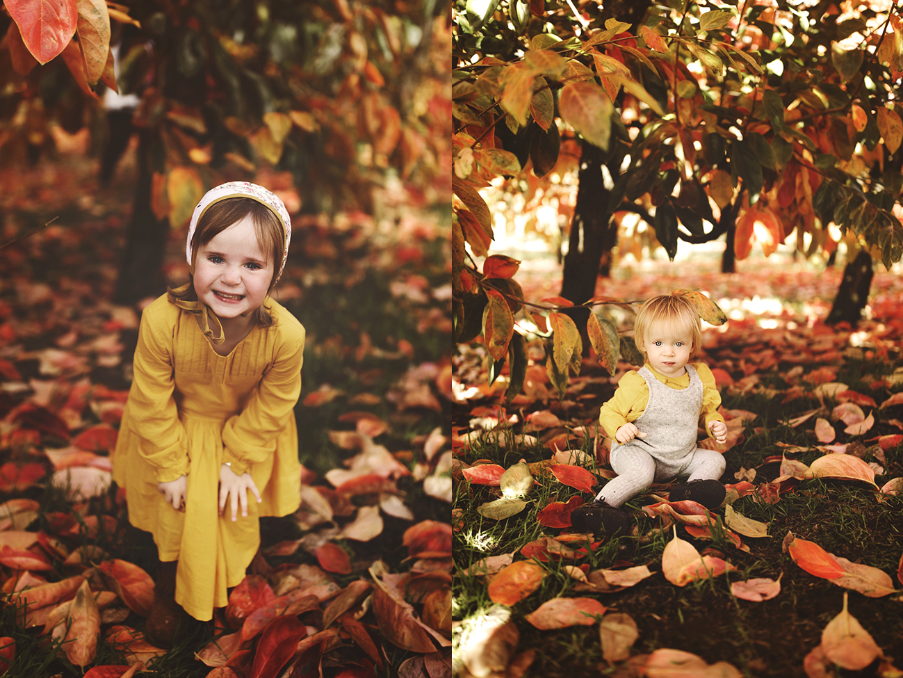 Raeburn Orchard Mini Sessions