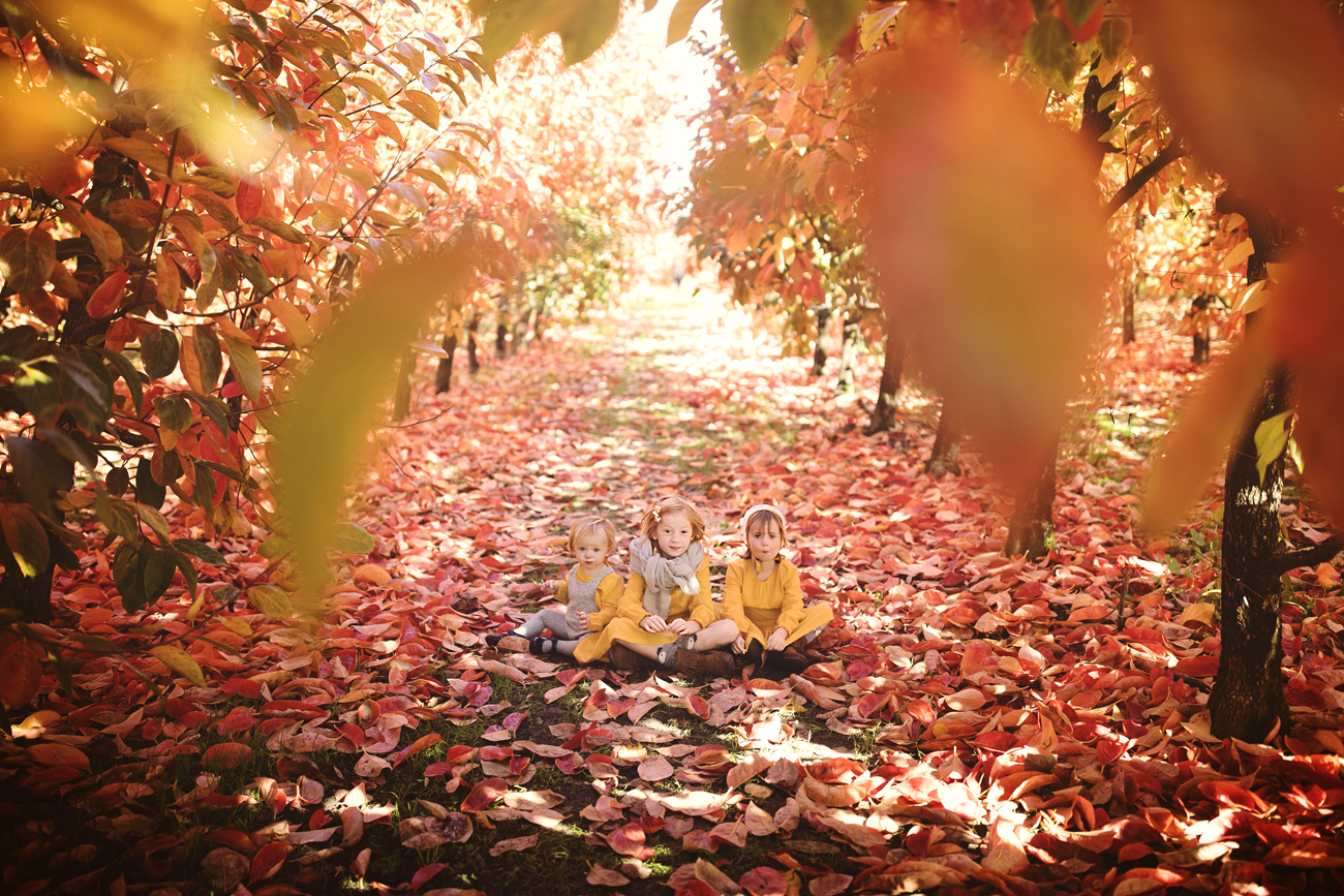 Raeburn Orchard Mini Sessions