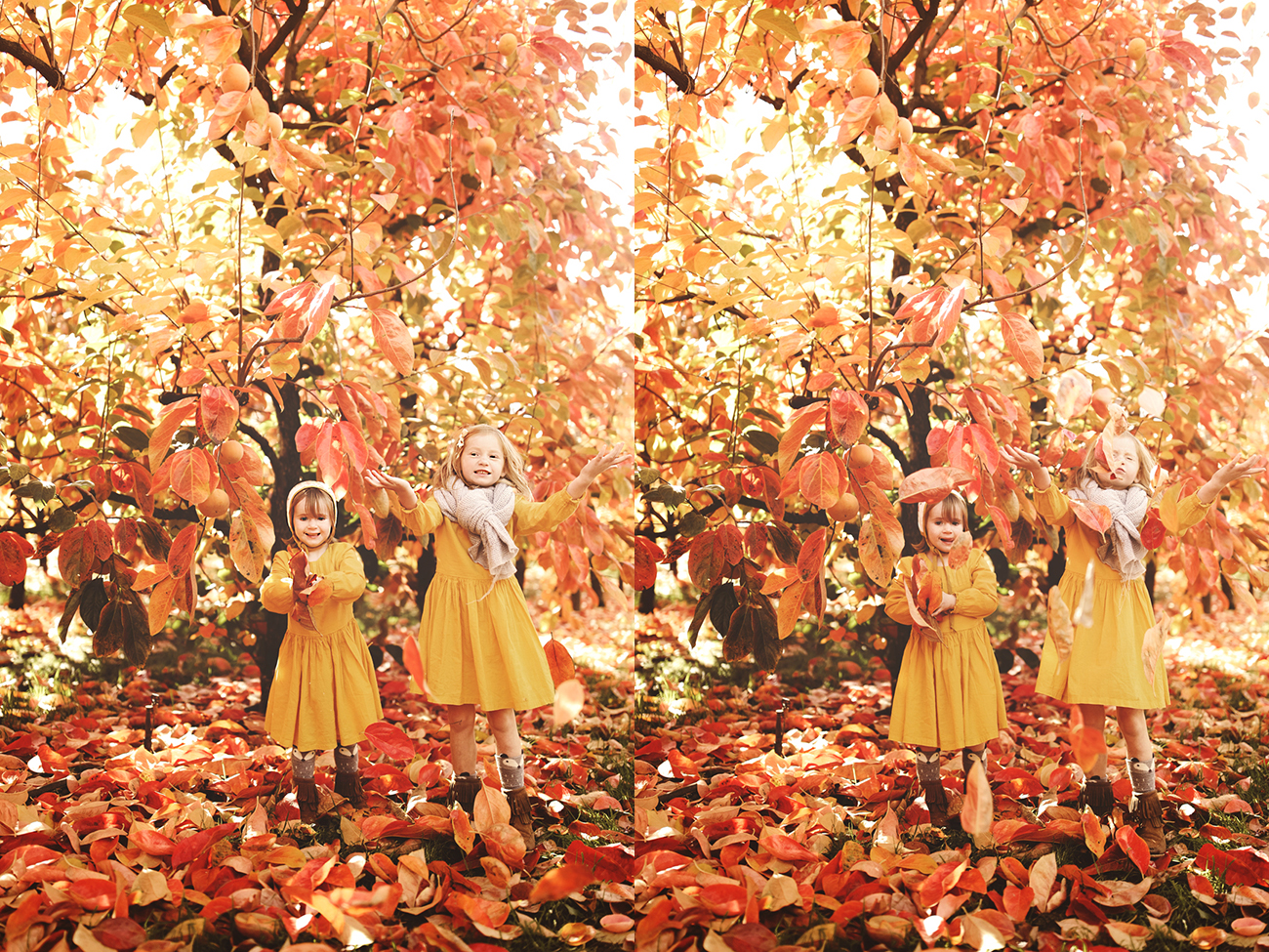 Raeburn Orchard Mini Sessions