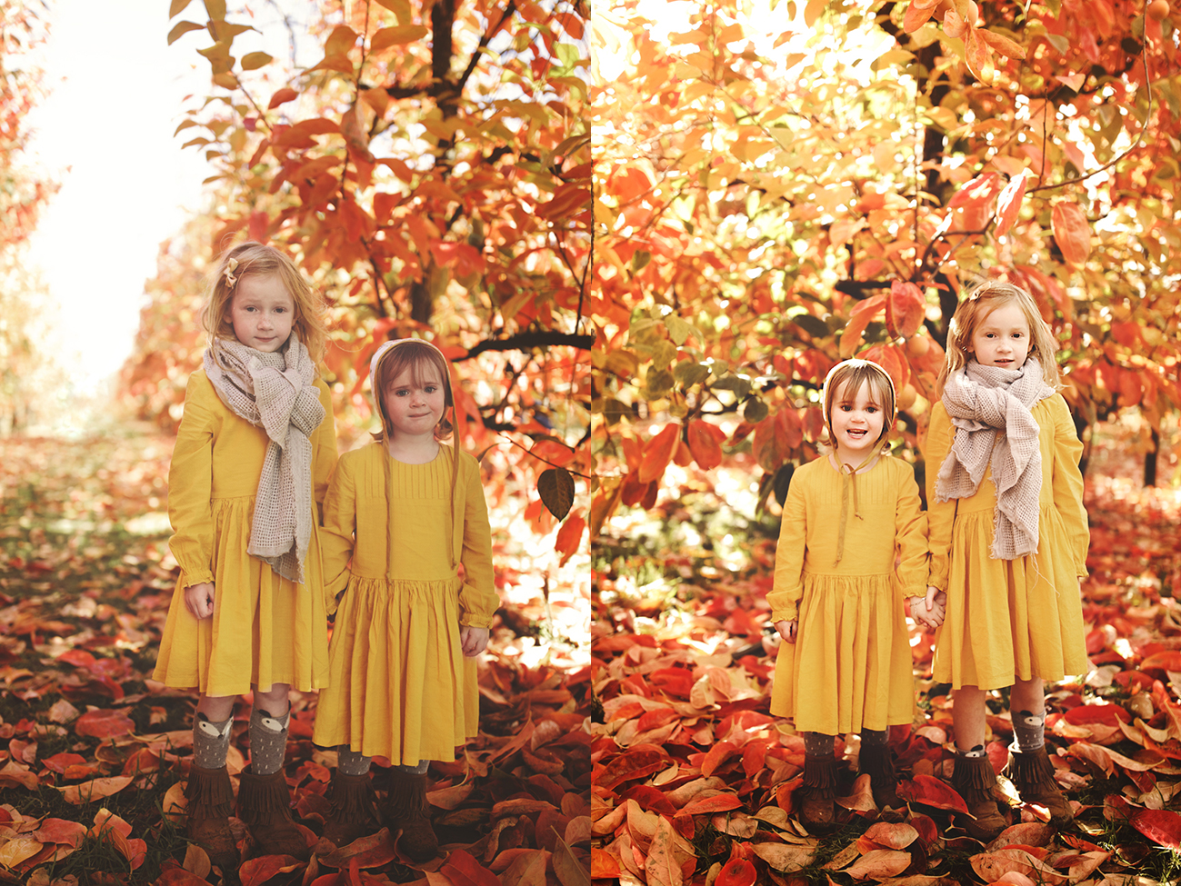 Raeburn Orchard Mini Sessions