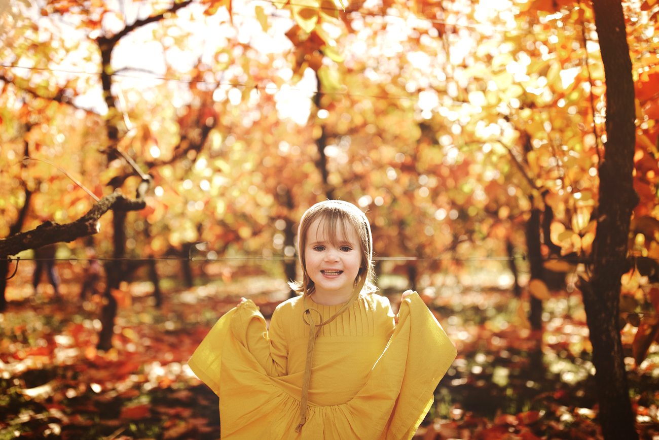 Raeburn Orchard Mini Sessions