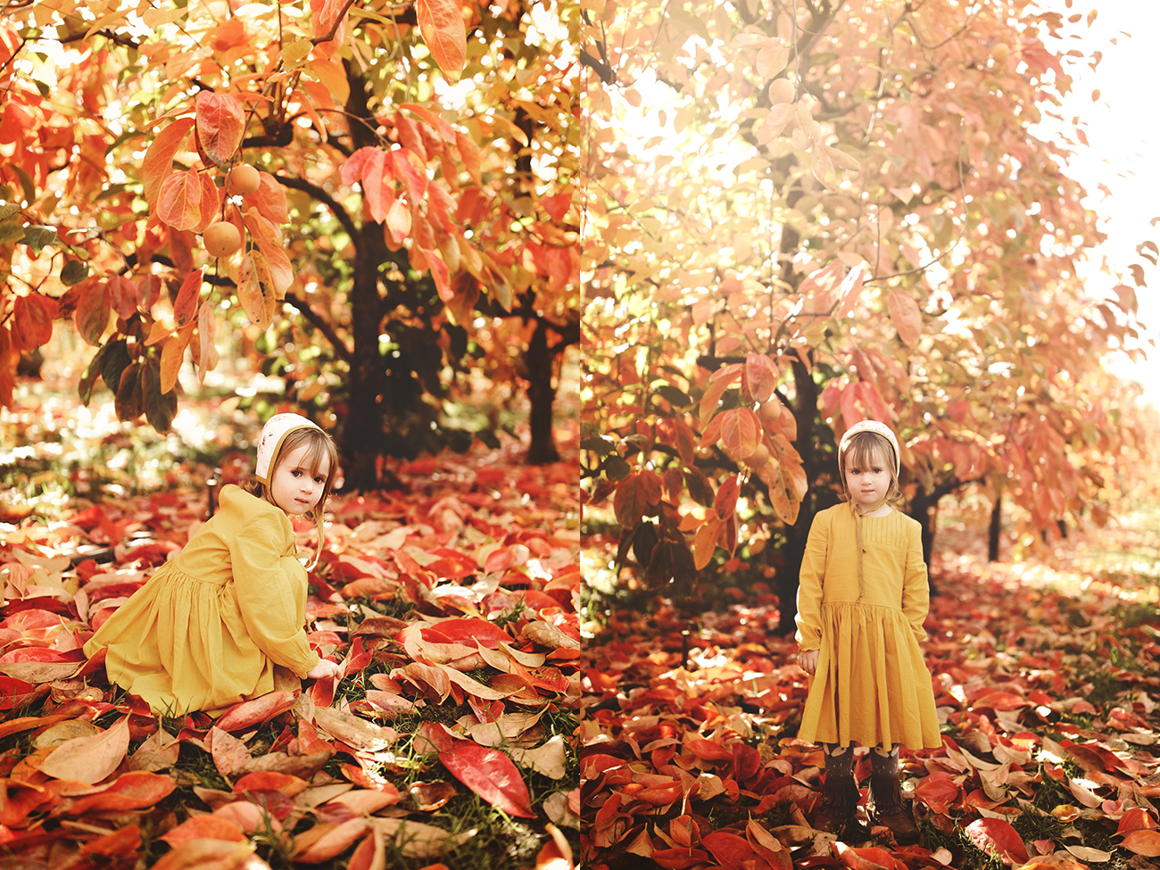 Raeburn Orchard Mini Sessions