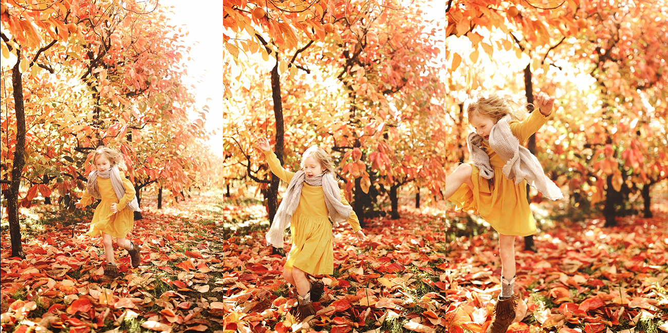 Raeburn Orchard Mini Sessions