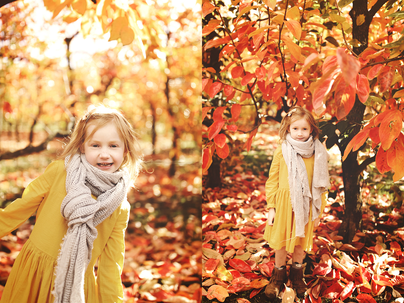 Raeburn Orchard Mini Sessions