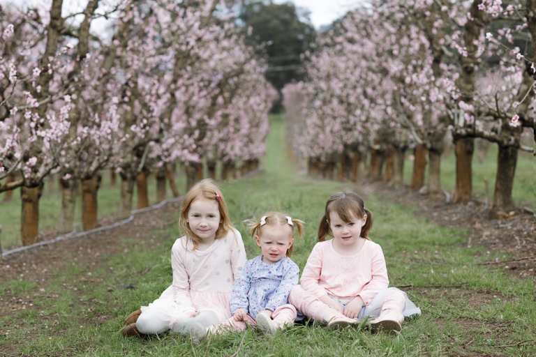 Raeburn Orchard Spring Photographer