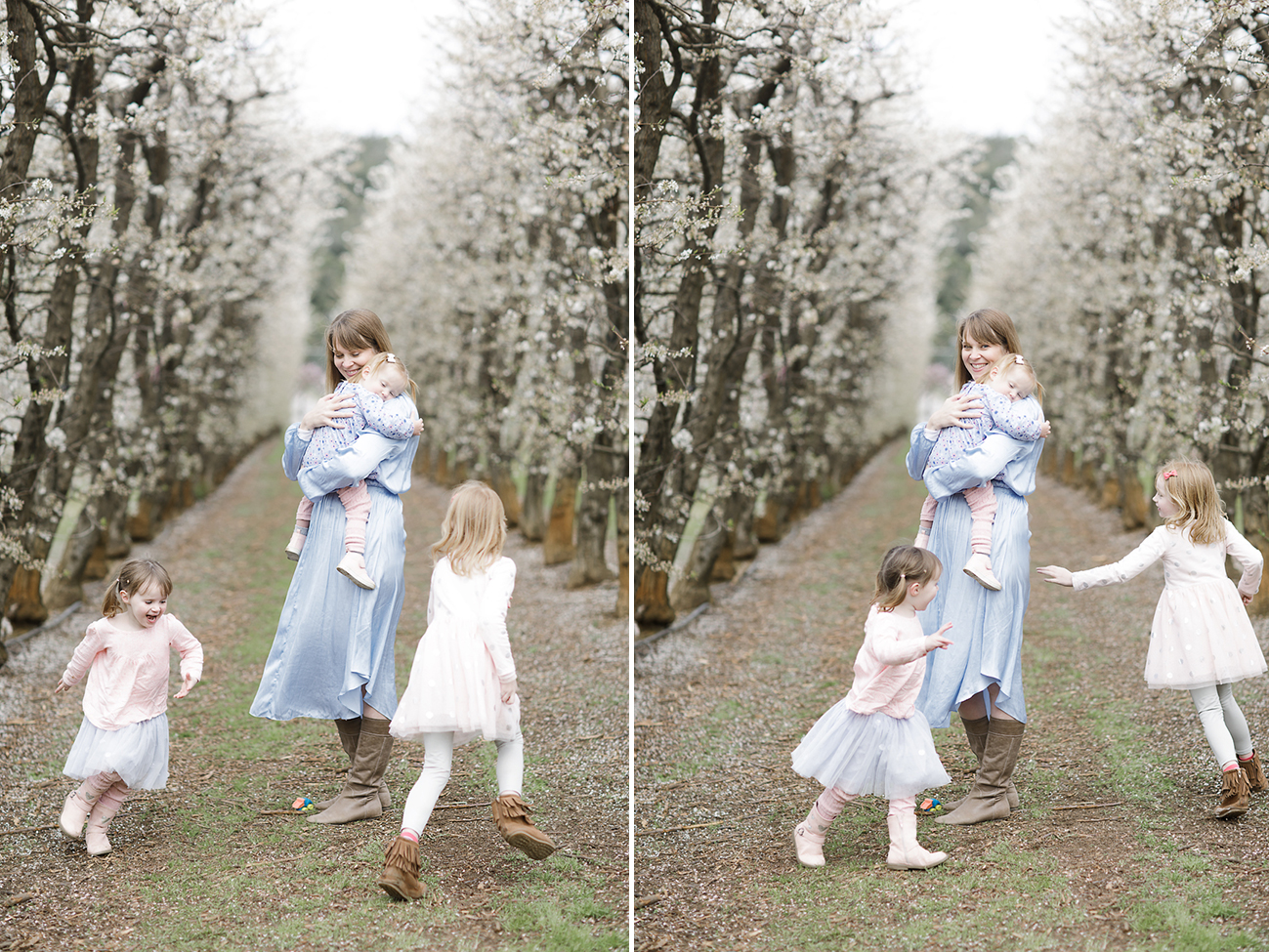 Raeburn Orchard Spring Photographer