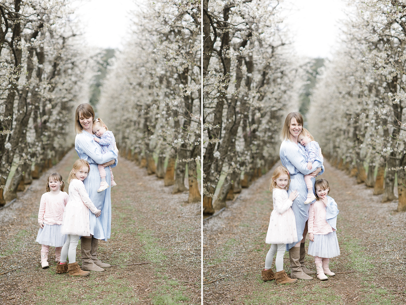 Raeburn Orchard Spring Photographer