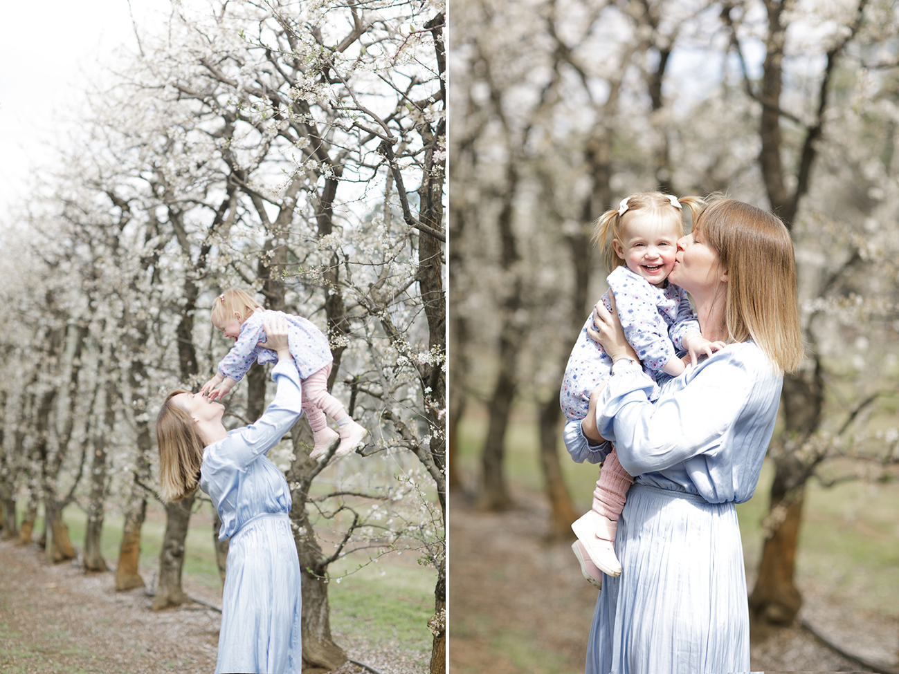 Raeburn Orchard Spring Photographer