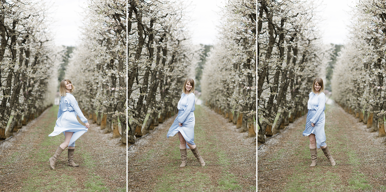 Raeburn Orchard Spring Photographer