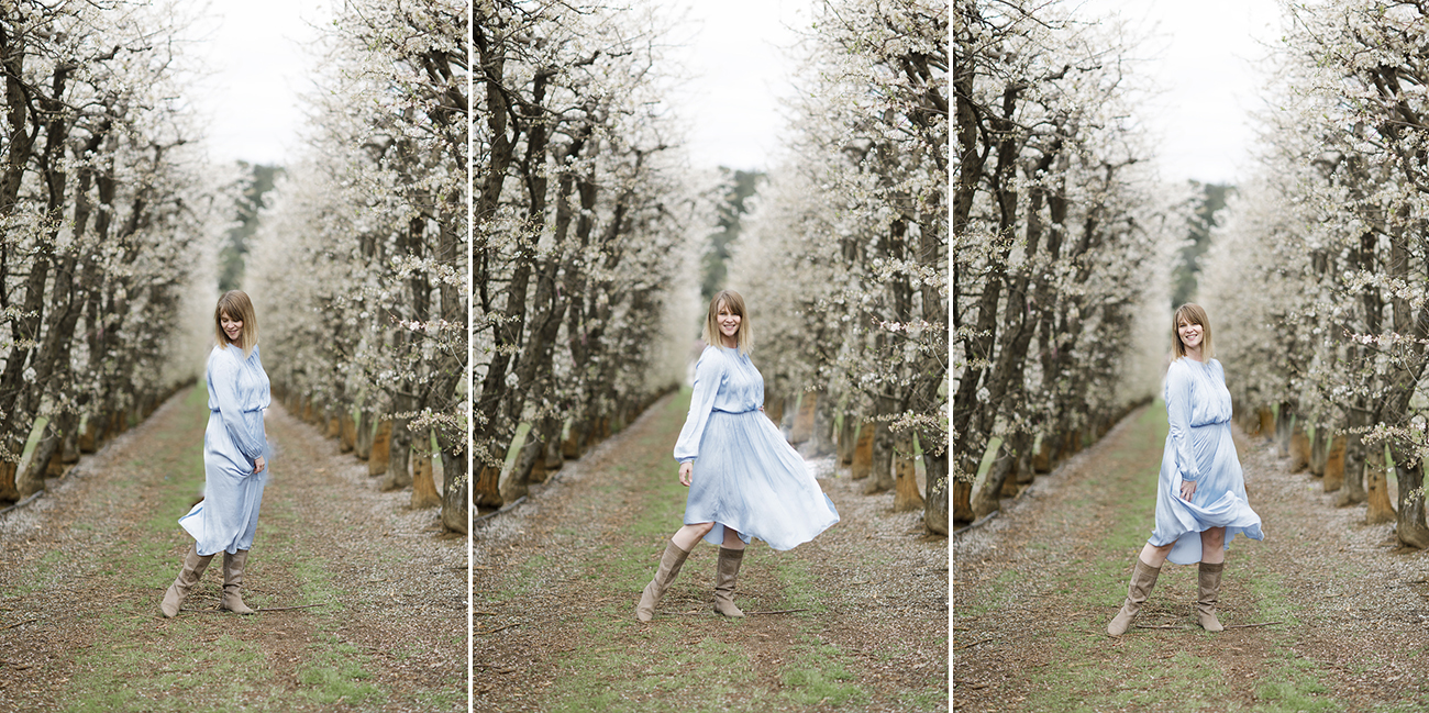 Raeburn Orchard Spring Photographer