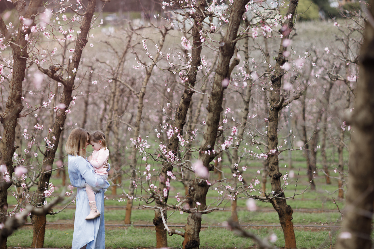 Raeburn Orchard Spring Photographer