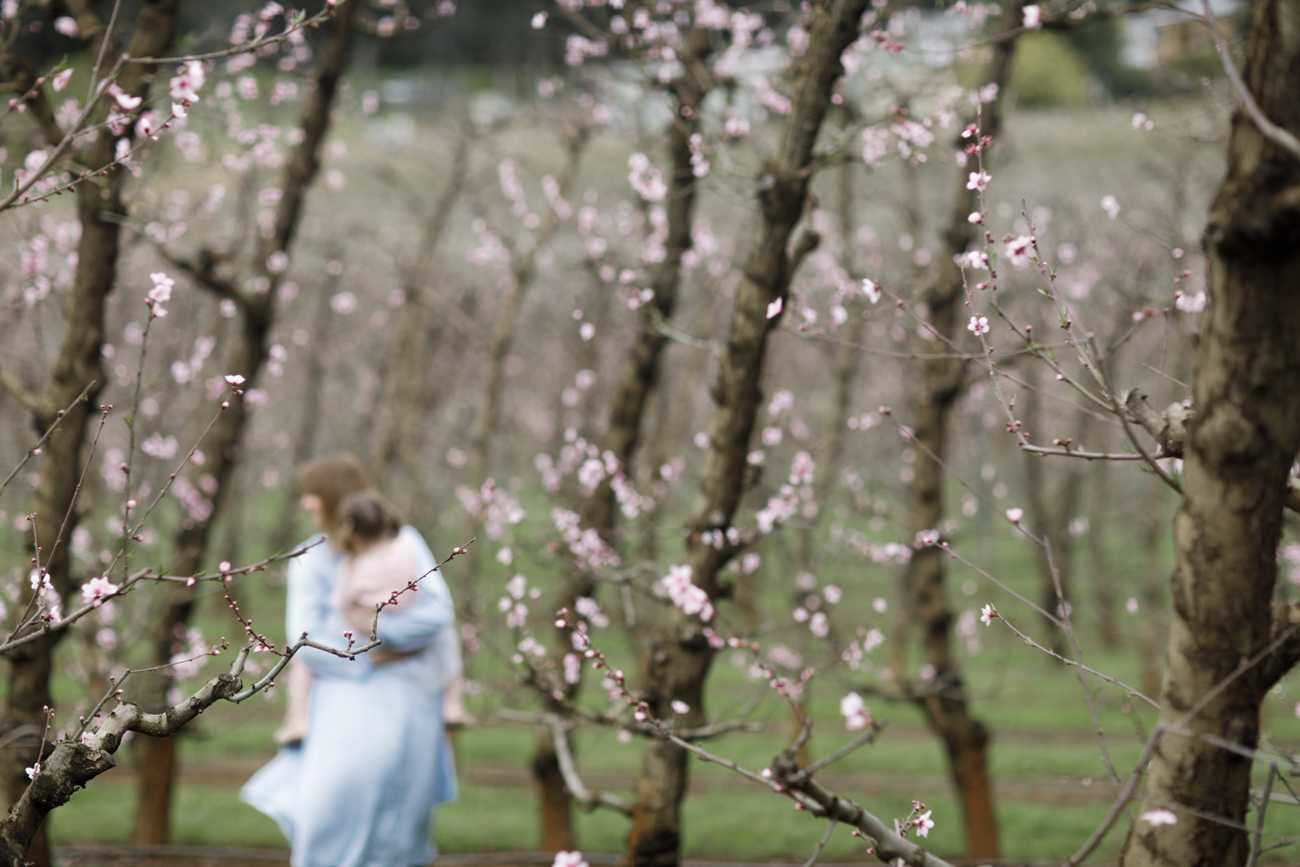 Raeburn Orchard Spring Photographer