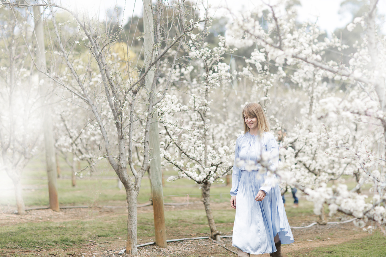 Raeburn Orchard Spring Photographer