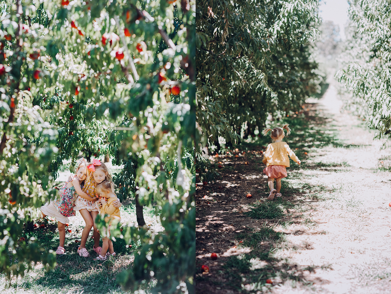 S&R Orchard Photographer