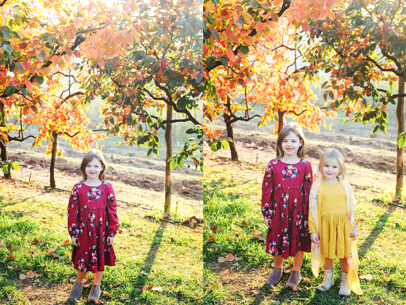 Raeburn Orchard Mini Sessions