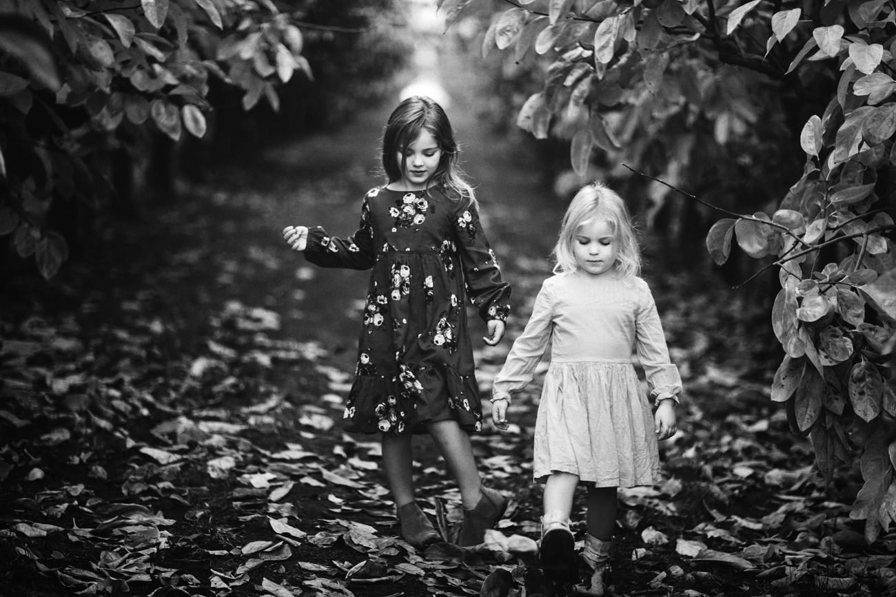 Raeburn Orchard Mini Sessions