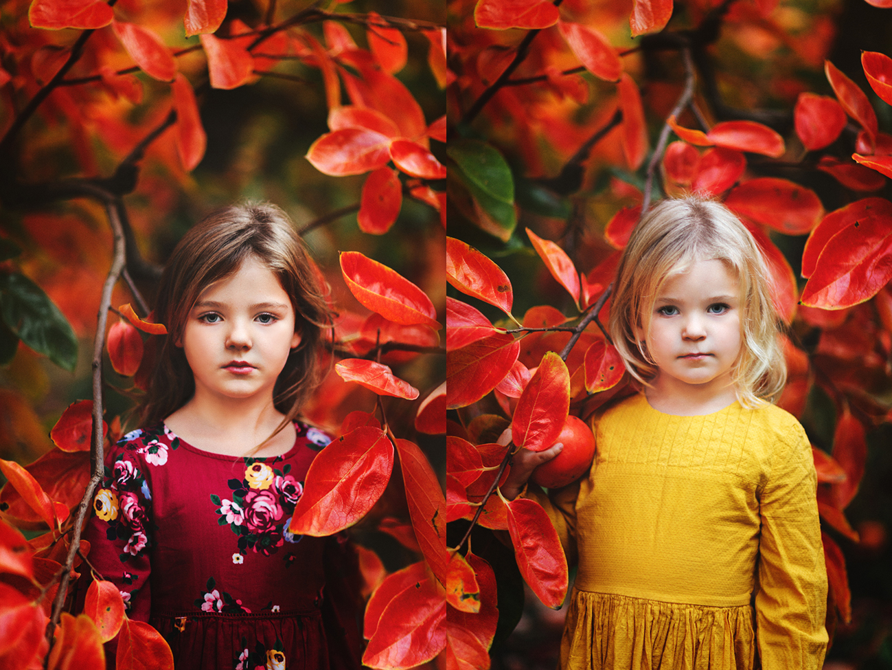 Raeburn Orchard Mini Sessions