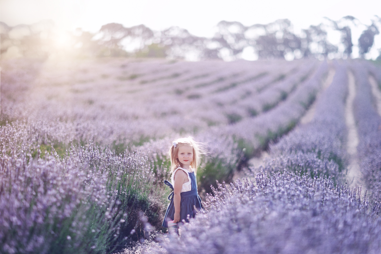 Yanchep Lavender Farm Mini Sessions