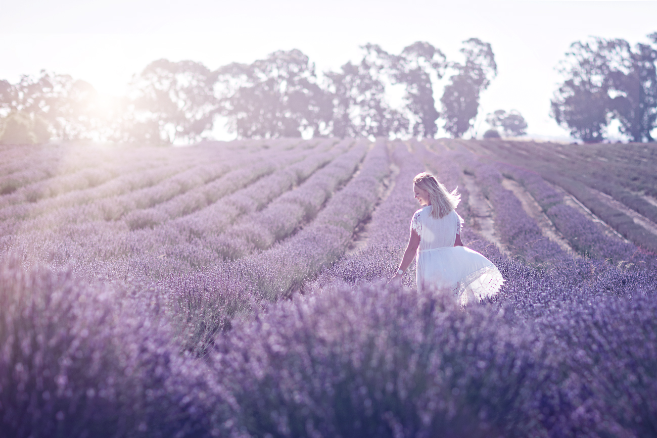 Yanchep Lavender Farm Mini Sessions