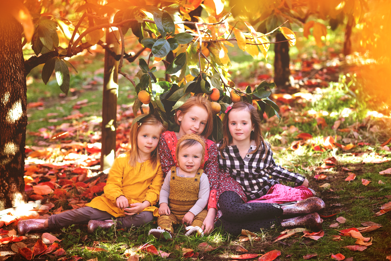 Raeburn Orchard Mini Sessions