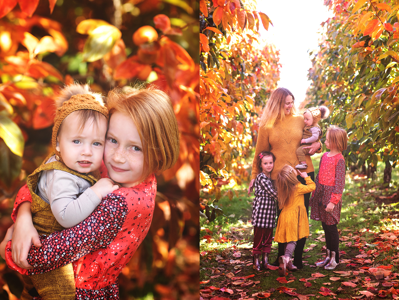 Raeburn Orchard Mini Sessions