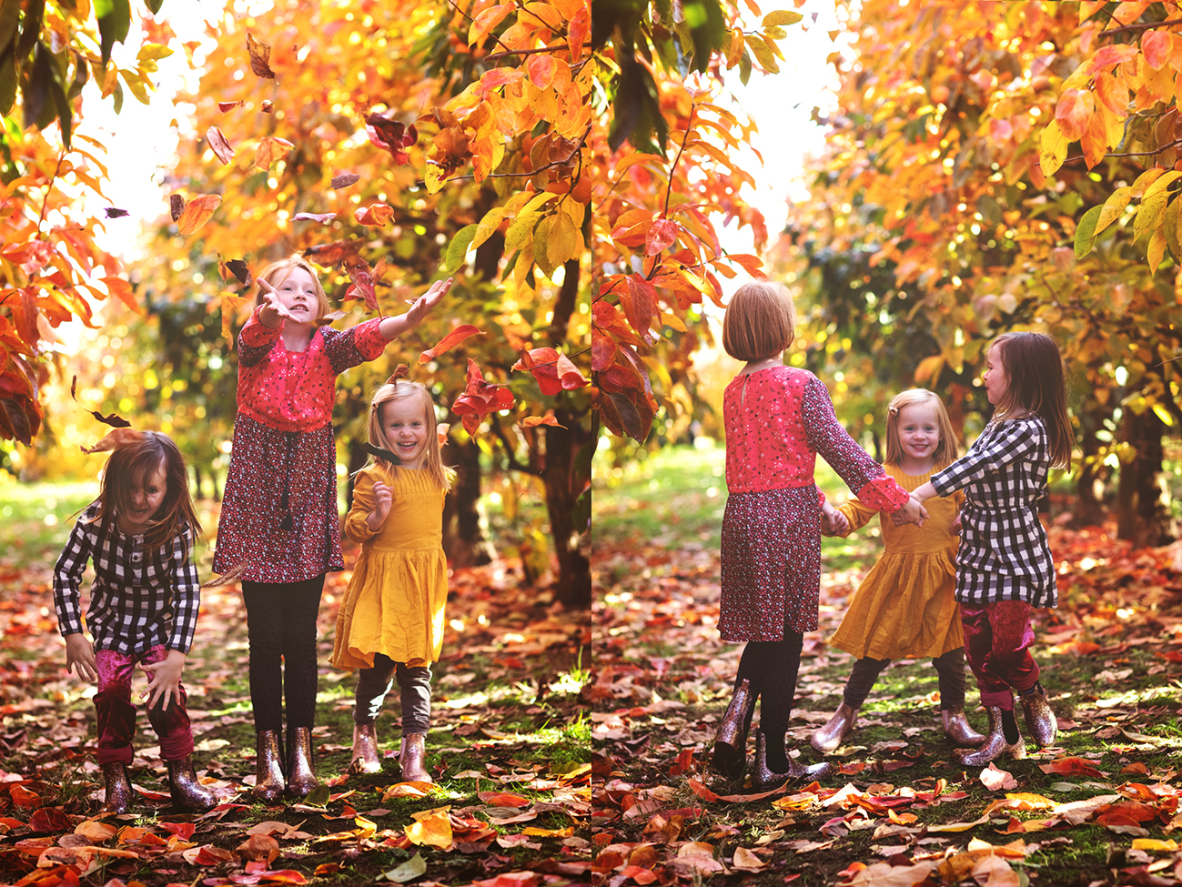 Raeburn Orchard Mini Sessions