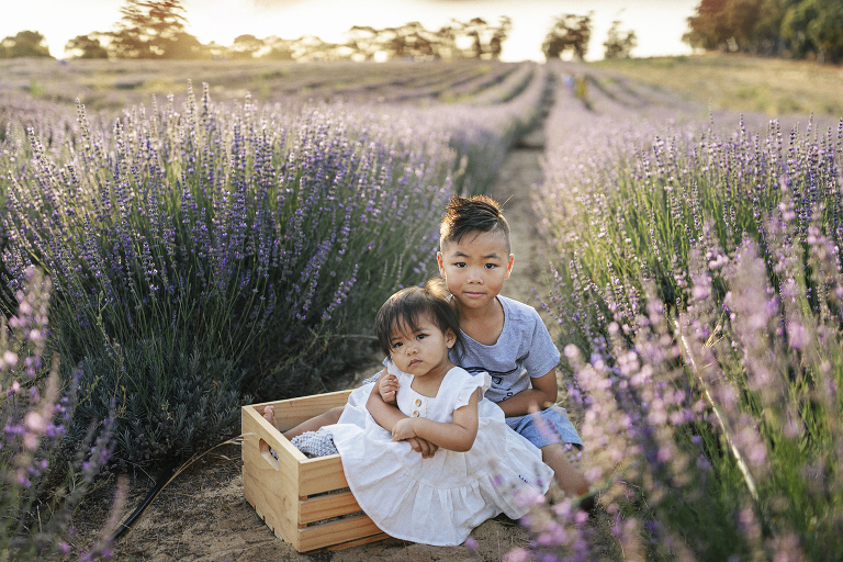 Family Photos in Perth Lavender Field