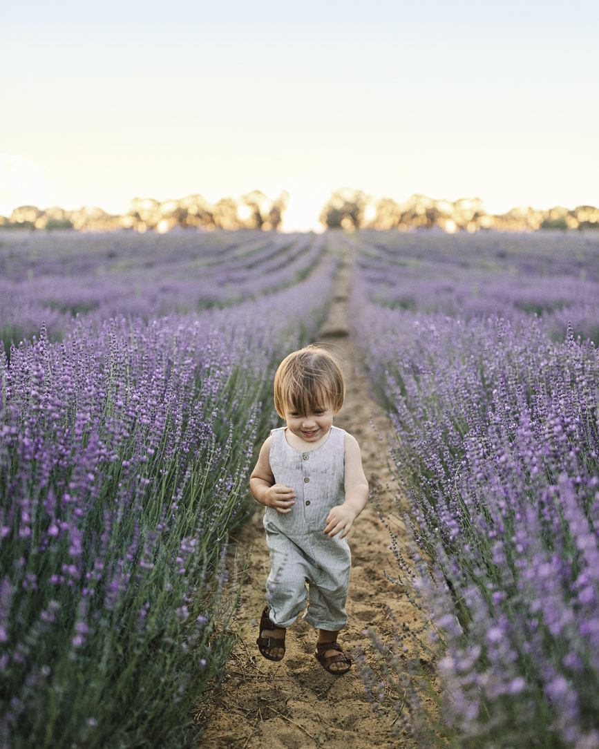 Yanchep Lavender Photographer