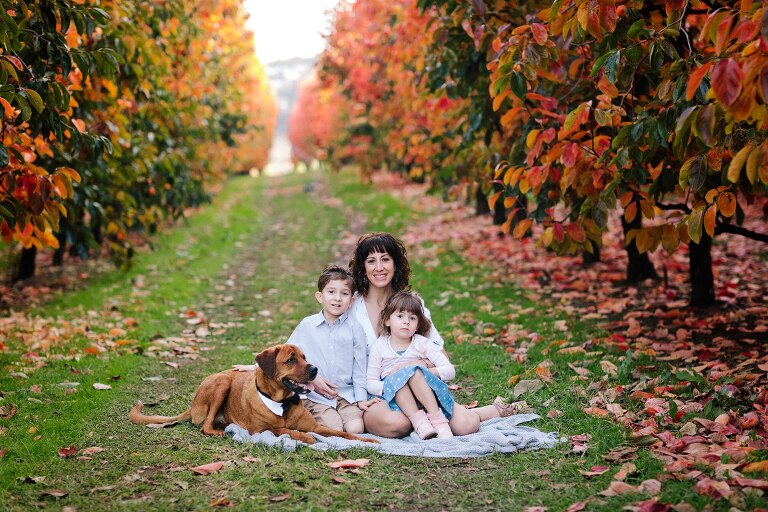 Raeburn Orchard Family Photographer