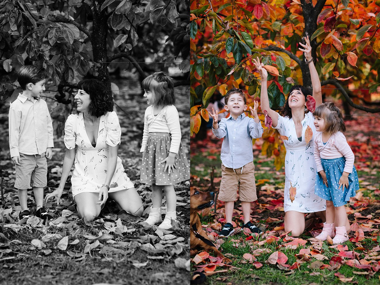 Raeburn Orchard Family Photographer