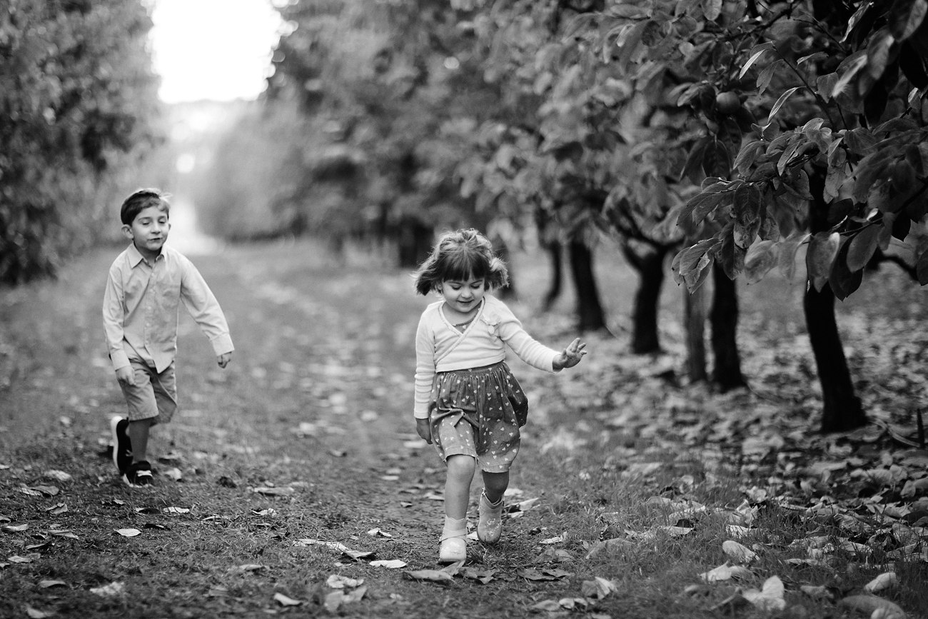 Raeburn Orchard Family Photographer