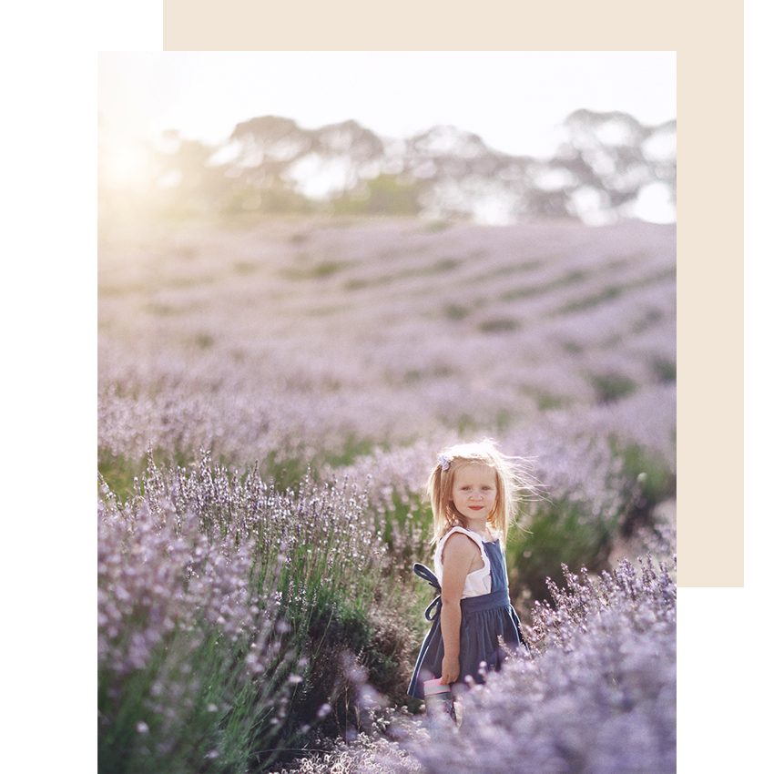 Child standing in Perth Lavender field